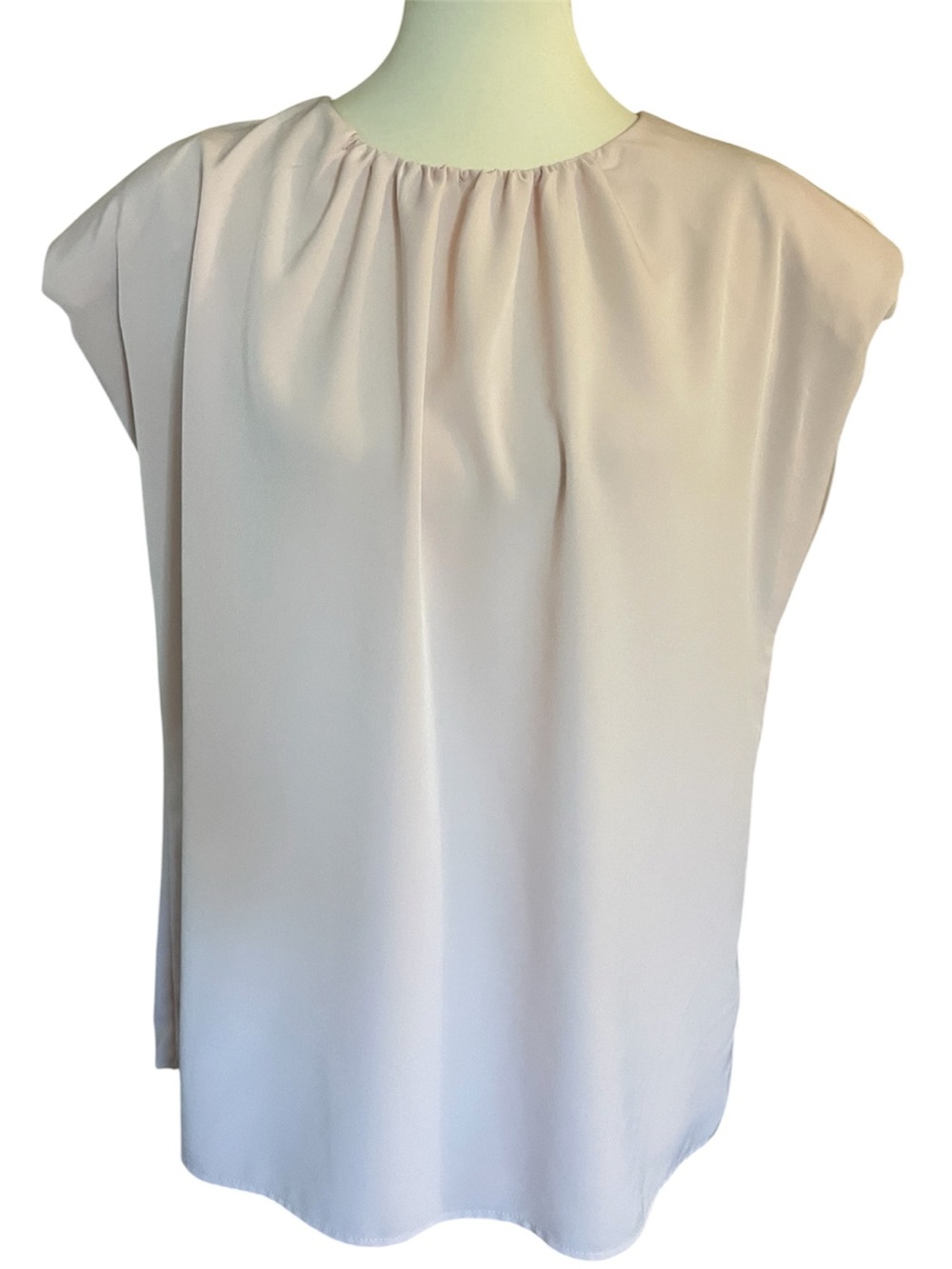 Blush Pink Blouse by Express
